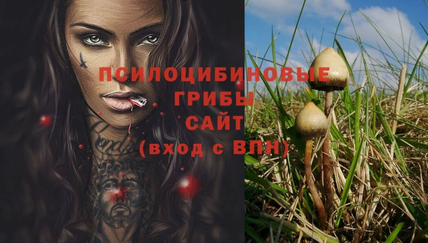 герыч Аркадак