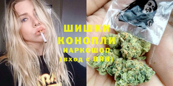 прущий лед Арсеньев