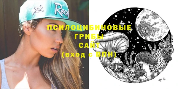 прущий лед Арсеньев