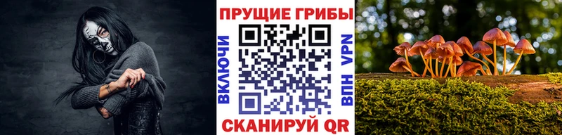 Галлюциногенные грибы Magic Shrooms  Лесной 