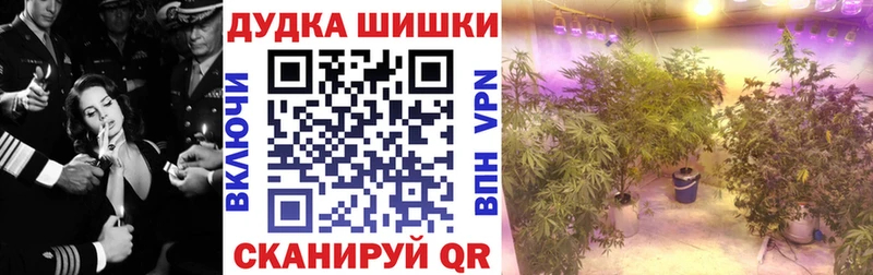 Шишки марихуана планчик  кракен онион  Лесной 